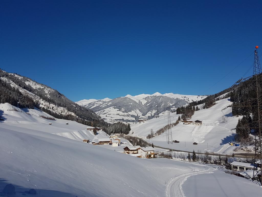 Appartamento Haus Enzian Mittersill Esterno foto